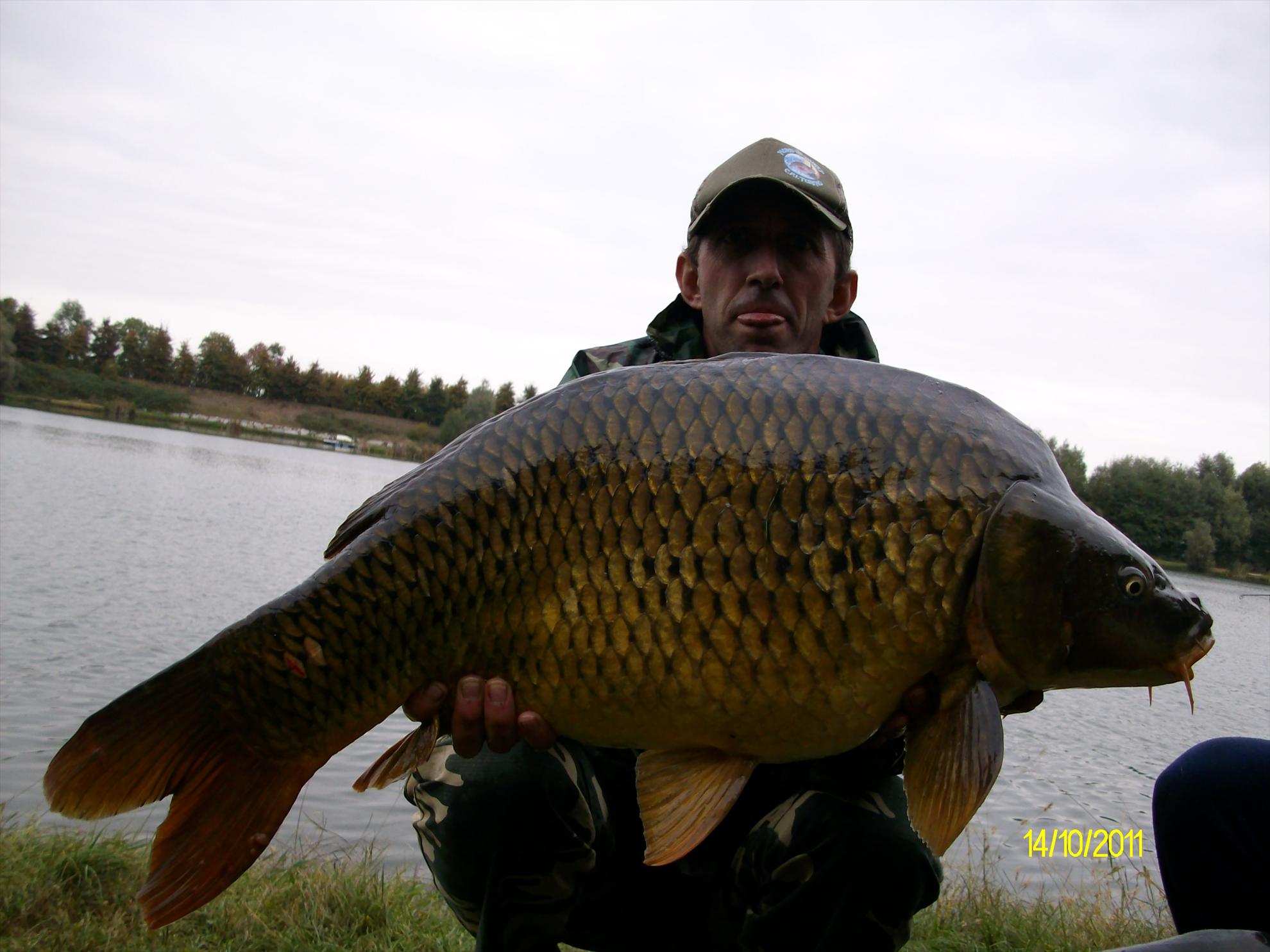 florian tanasa - alim0473.JPG